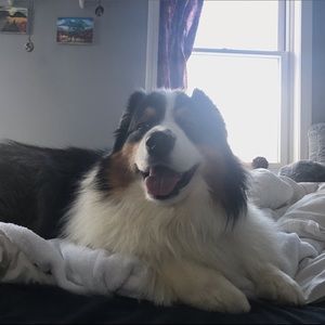 Meet your Posher, Tegan